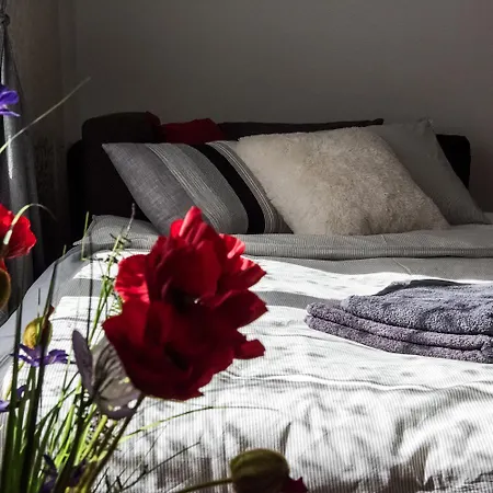 N16-spacey, Modern Family Flat For 5 Budapeszt